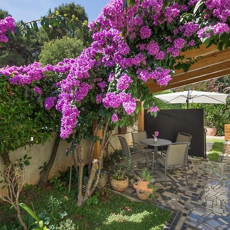 Piccola Pineta Διαμέρισμα Πούλα Εξωτερικό φωτογραφία