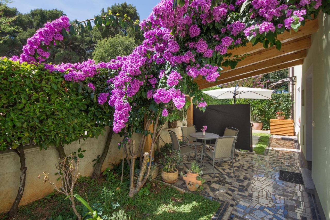 Piccola Pineta Διαμέρισμα Πούλα Εξωτερικό φωτογραφία