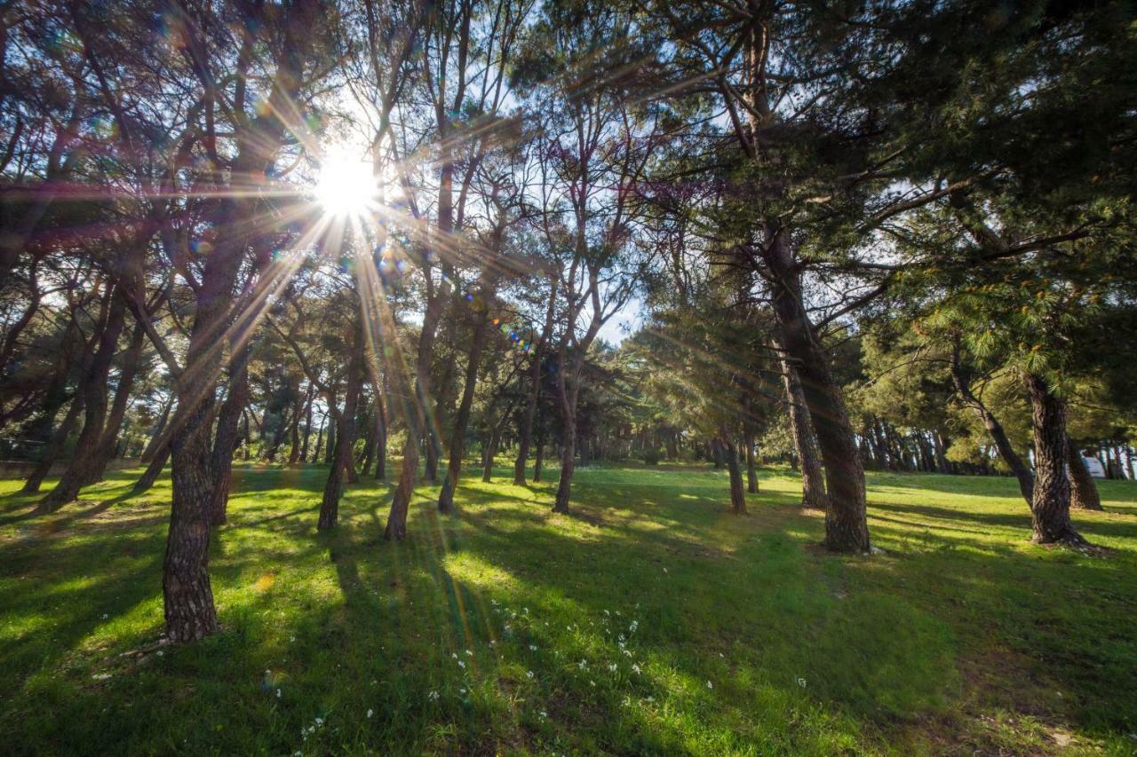 Piccola Pineta Διαμέρισμα Πούλα Εξωτερικό φωτογραφία